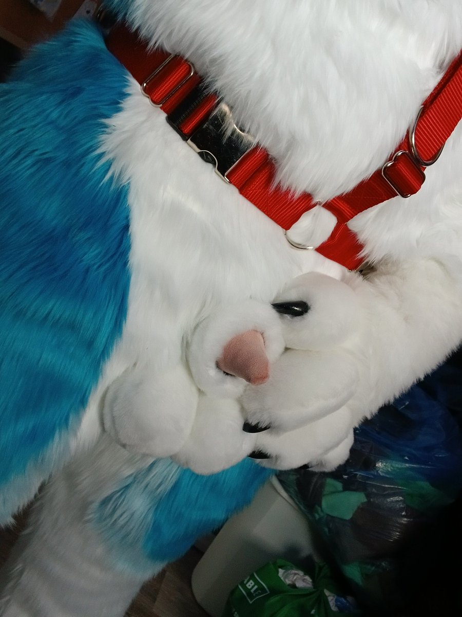 Trexton Barker tweet media