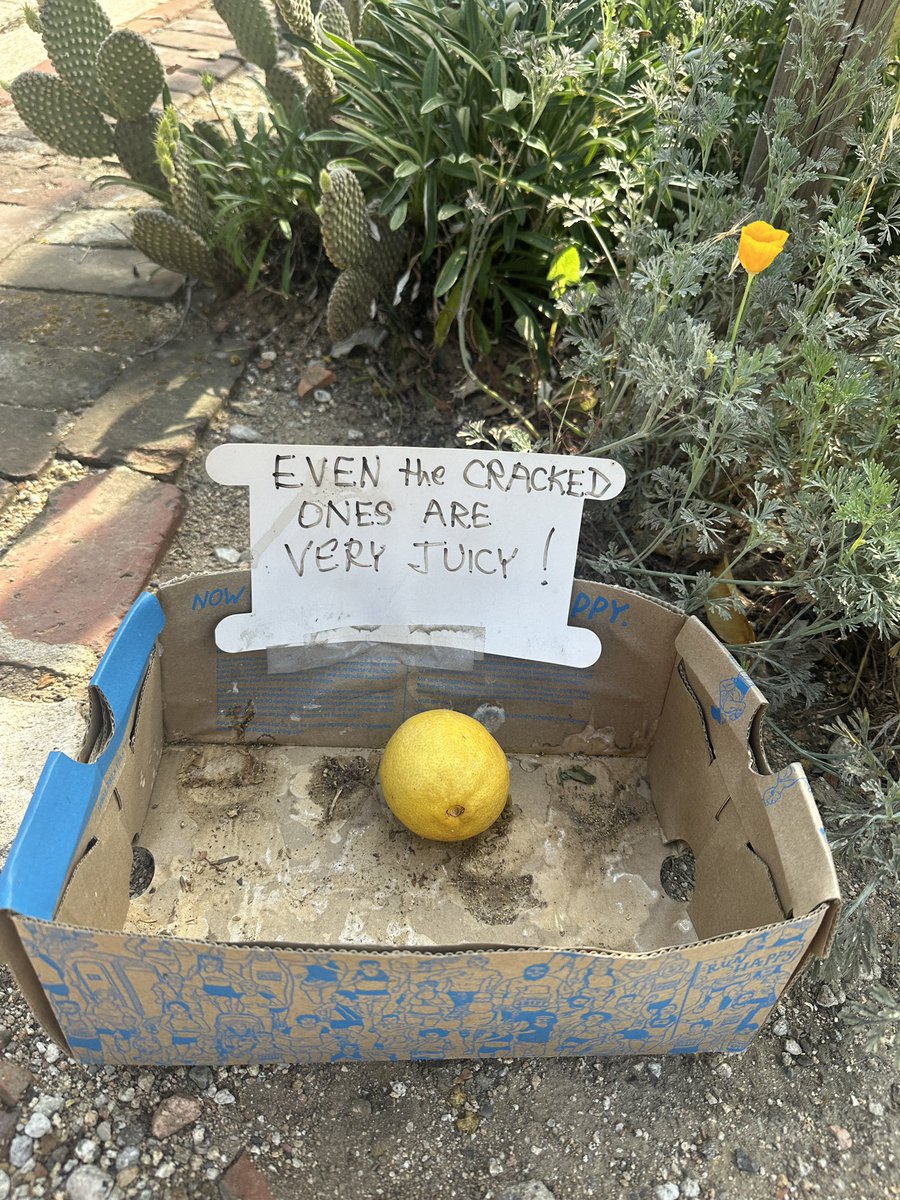 Albert Jaragua Corado 🔻 tweet media