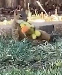 Livia Berts tweet media