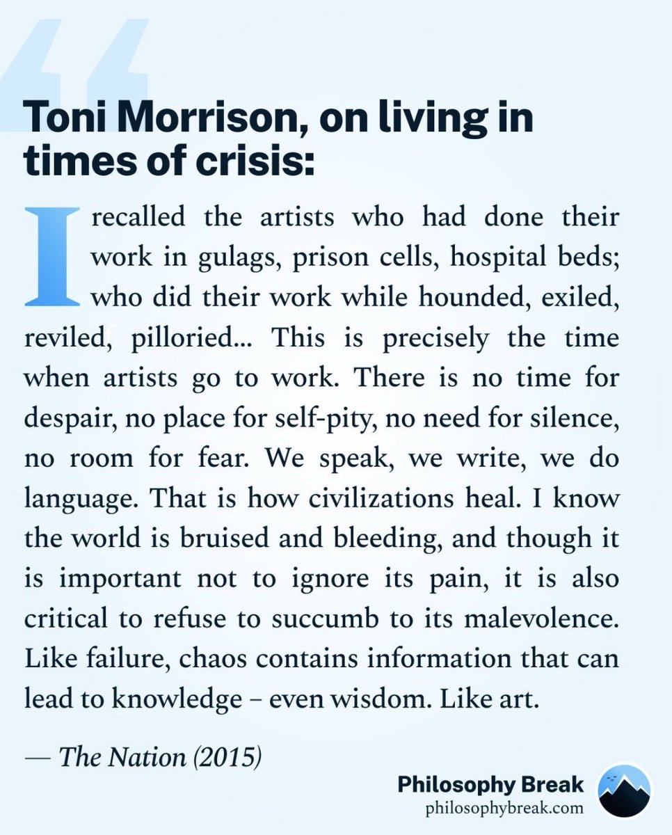 Ivie Ani tweet media