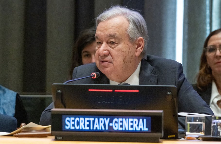 أخبار الأمم المتحدة tweet media