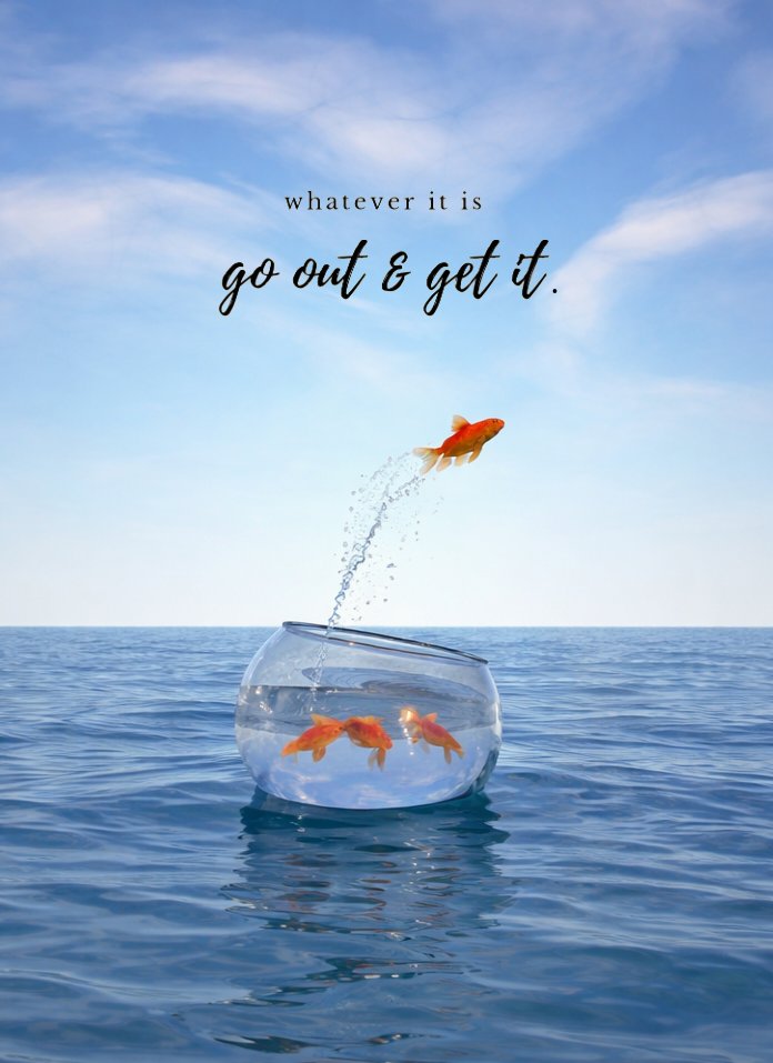 𝗕𝗼𝗵𝗼 ♡ tweet media