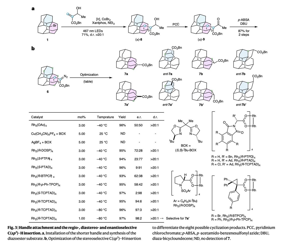 Total Synthesis tweet media