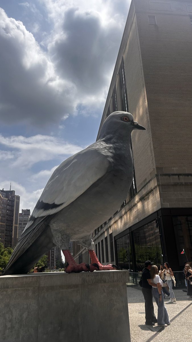 catherine tweet media