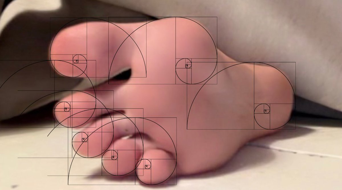 sammy ࣪ ˖ 𖦹°⋆ tweet media