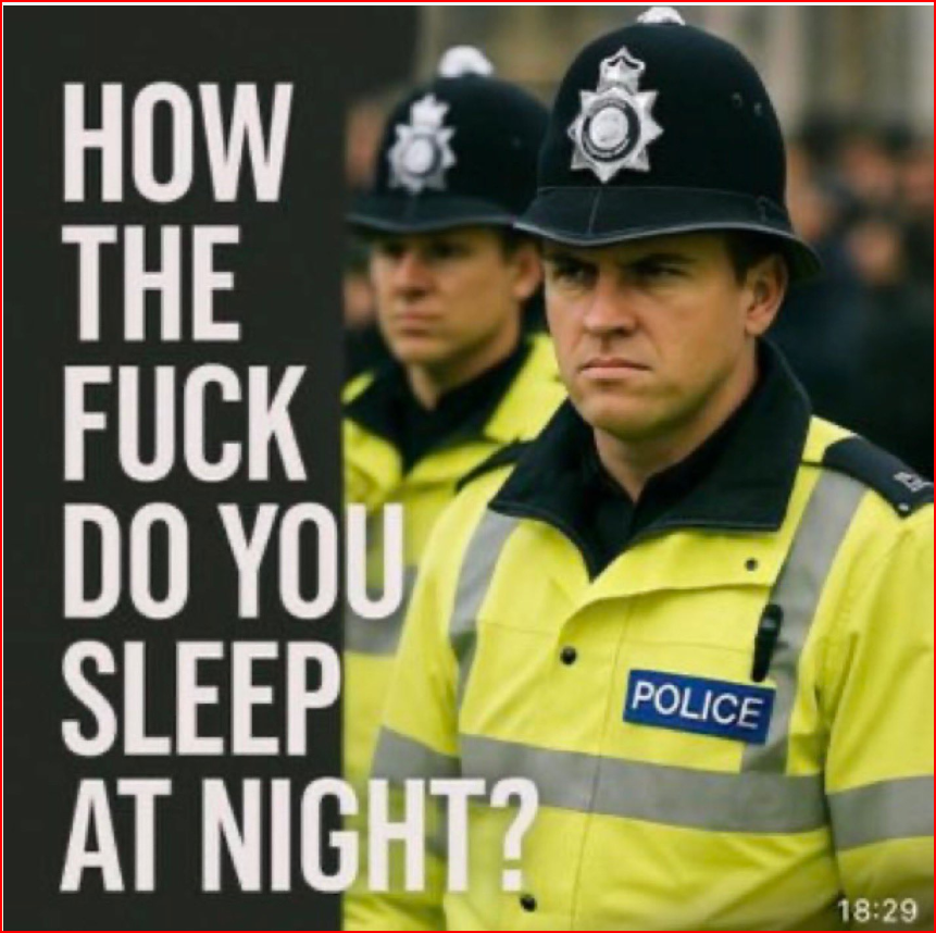 Innominate Elements tweet media