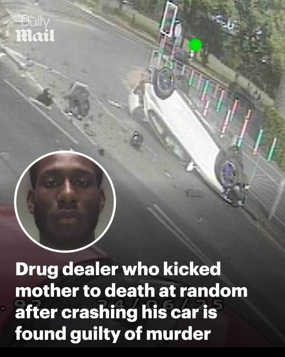 Based Whippet 🏴󠁧󠁢󠁥󠁮󠁧󠁿 tweet media