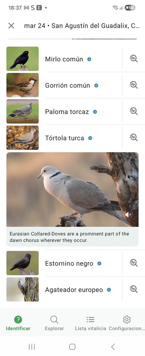 yυĸι 🦜🧶 kawaiiamigurumiis 🪡 tweet media