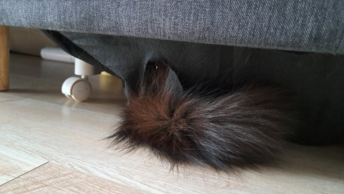 Ельфінві tweet media