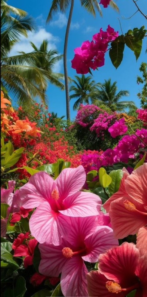 stylishVee tweet media