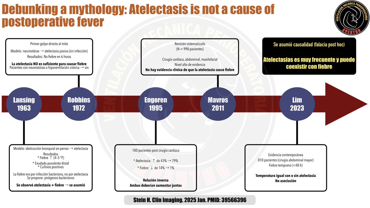Diego Ketamino tweet media