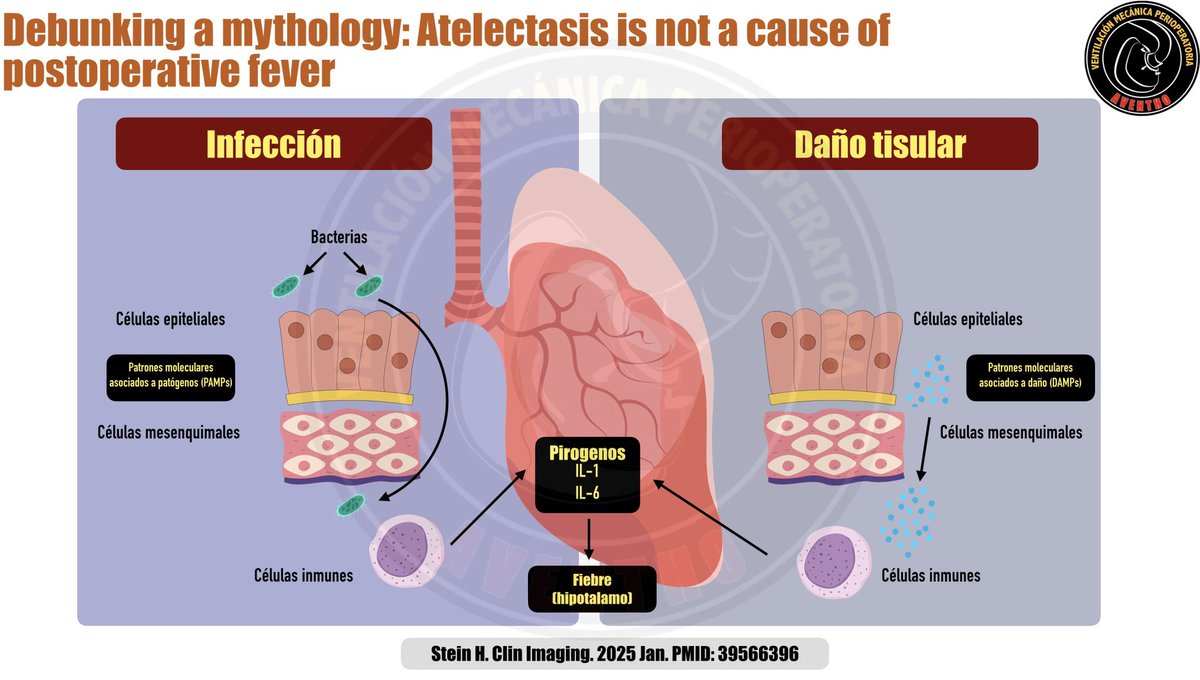 Diego Ketamino tweet media