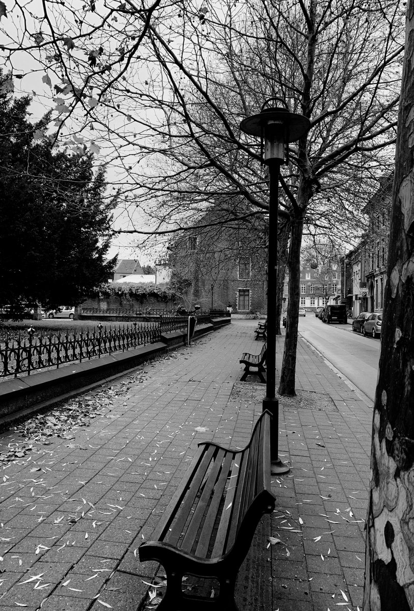 Inês Lobo🐺 tweet media