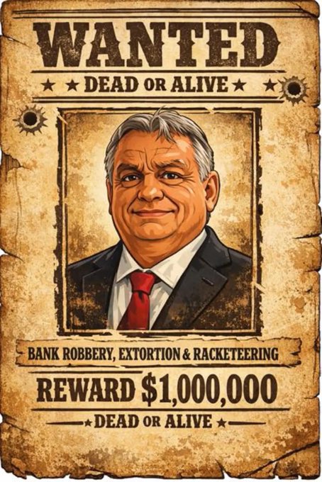 sigi bär tweet media