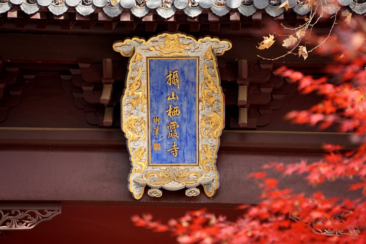 Jackie Eisenhut tweet media