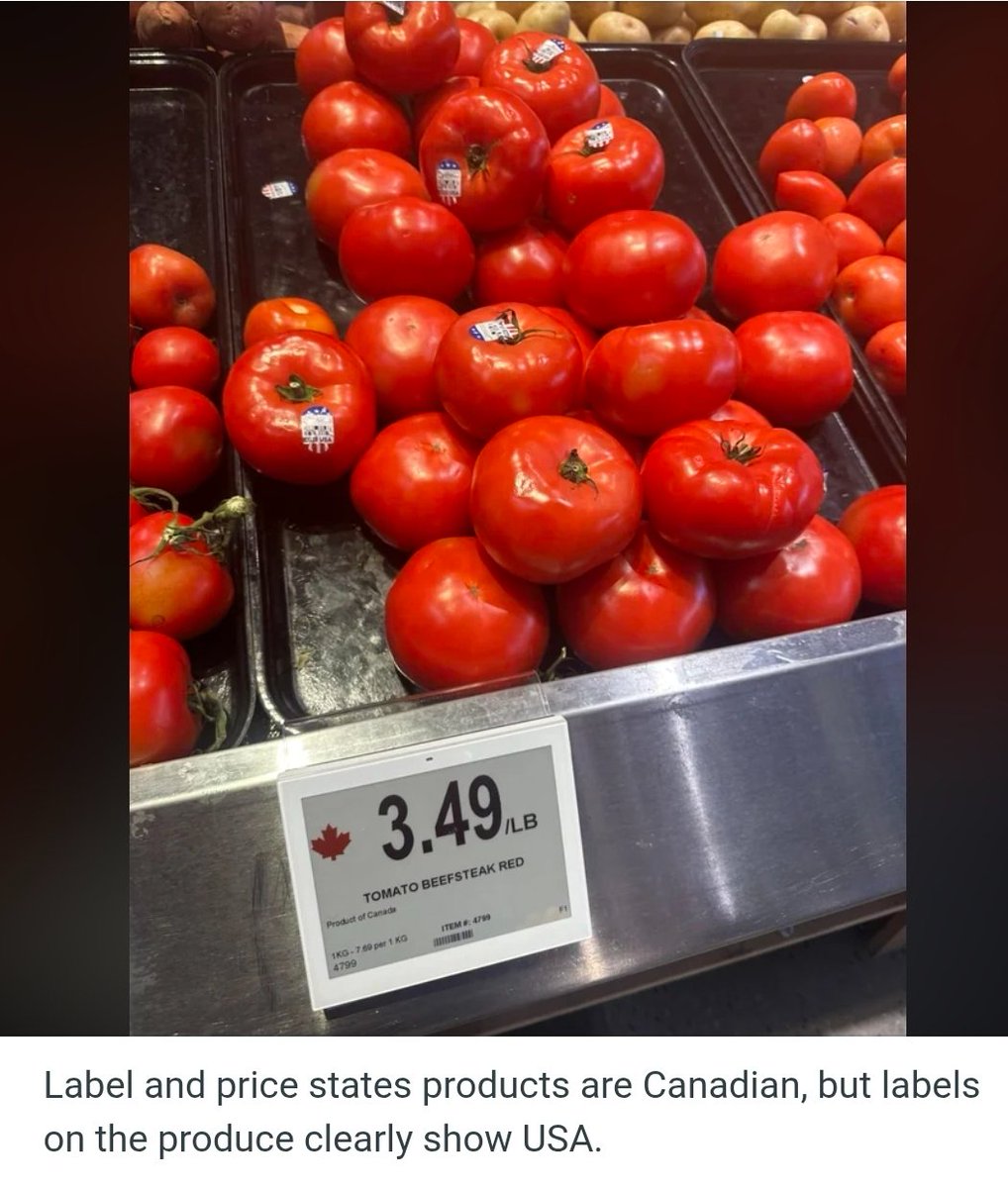 Bodes Galaxy 🇨🇦🇺🇦 tweet media