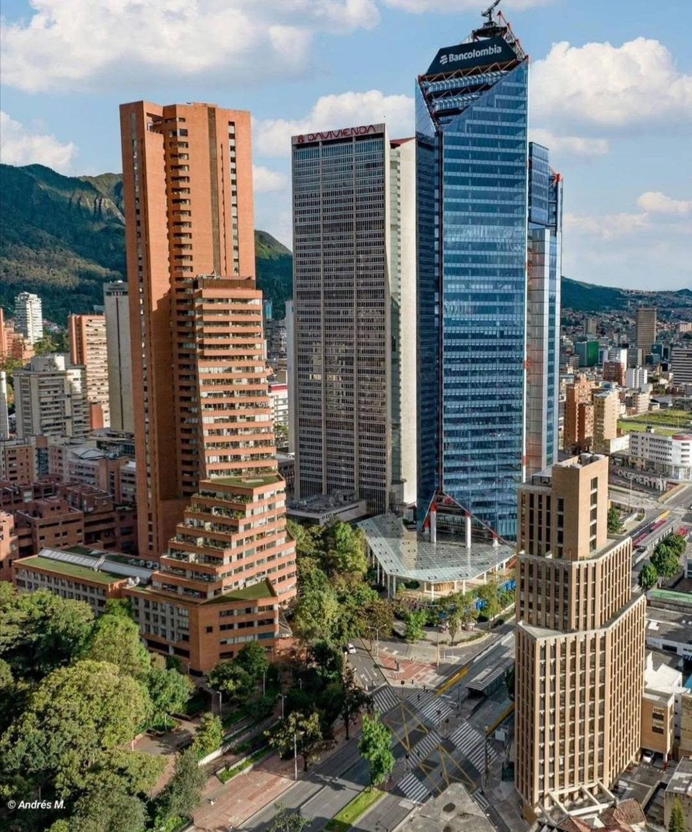 Andy 🐻❄️ tweet media