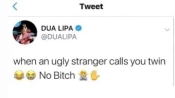 cat ৎ୭ tweet media