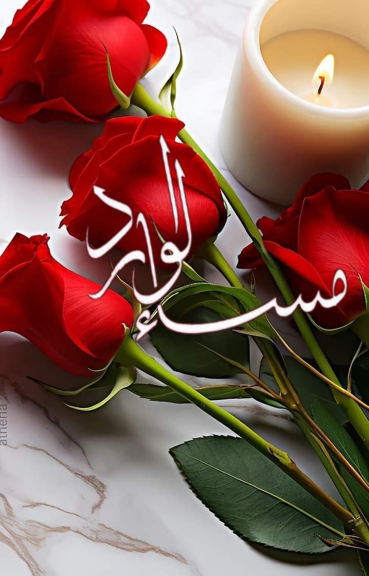 🌹اسسسماء🌹 tweet media