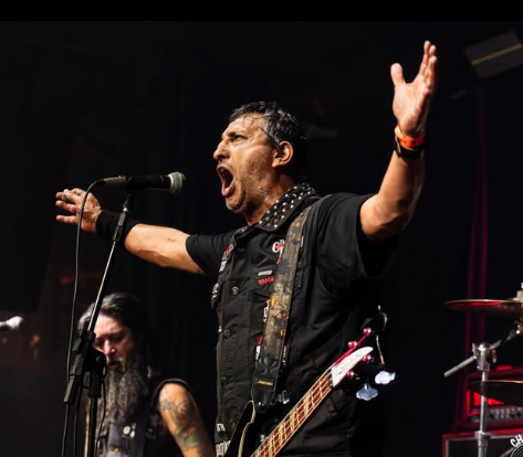 Elisabete Pacheco tweet media