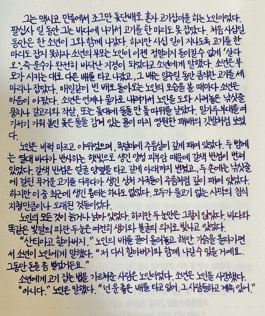 손(SON) 🩵🍮🍵🍵 tweet media