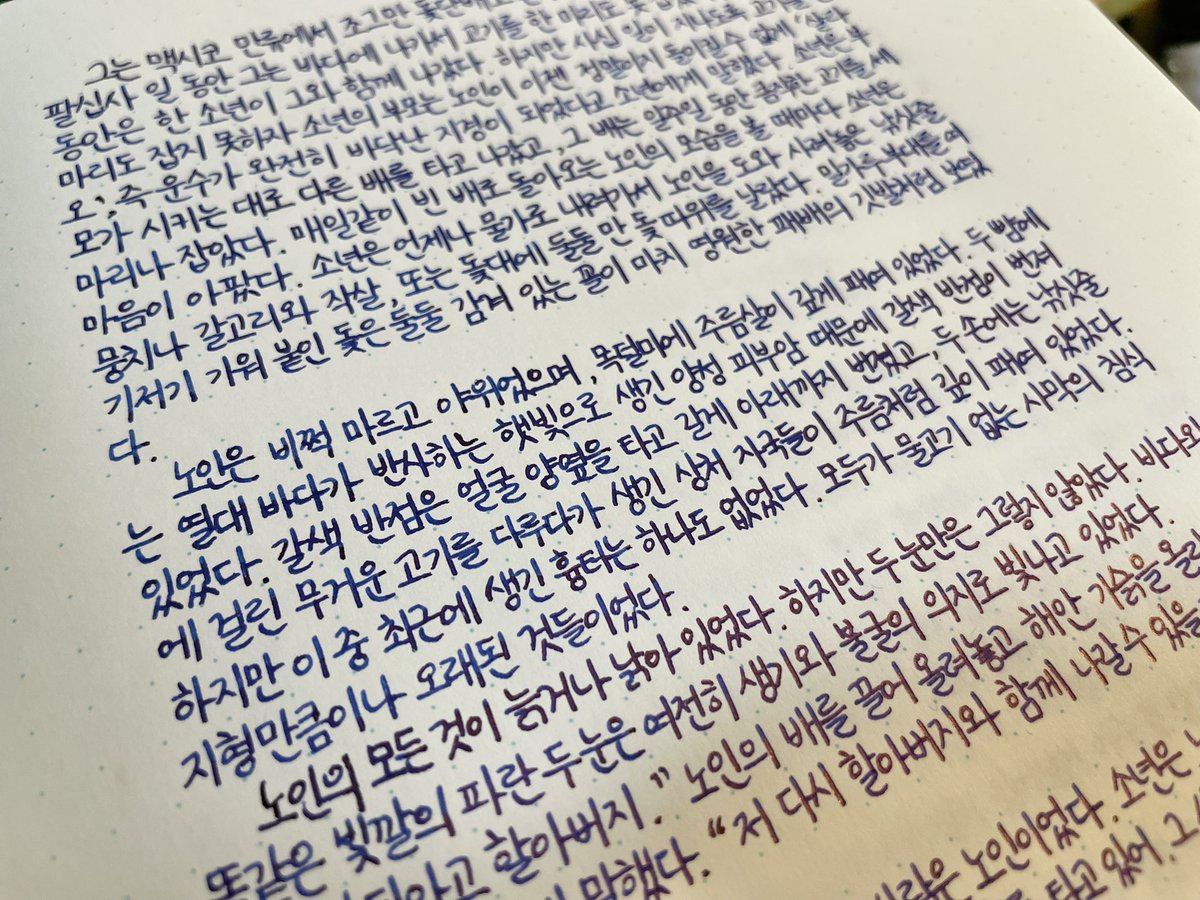 손(SON) 🩵🍮🍵🍵 tweet media