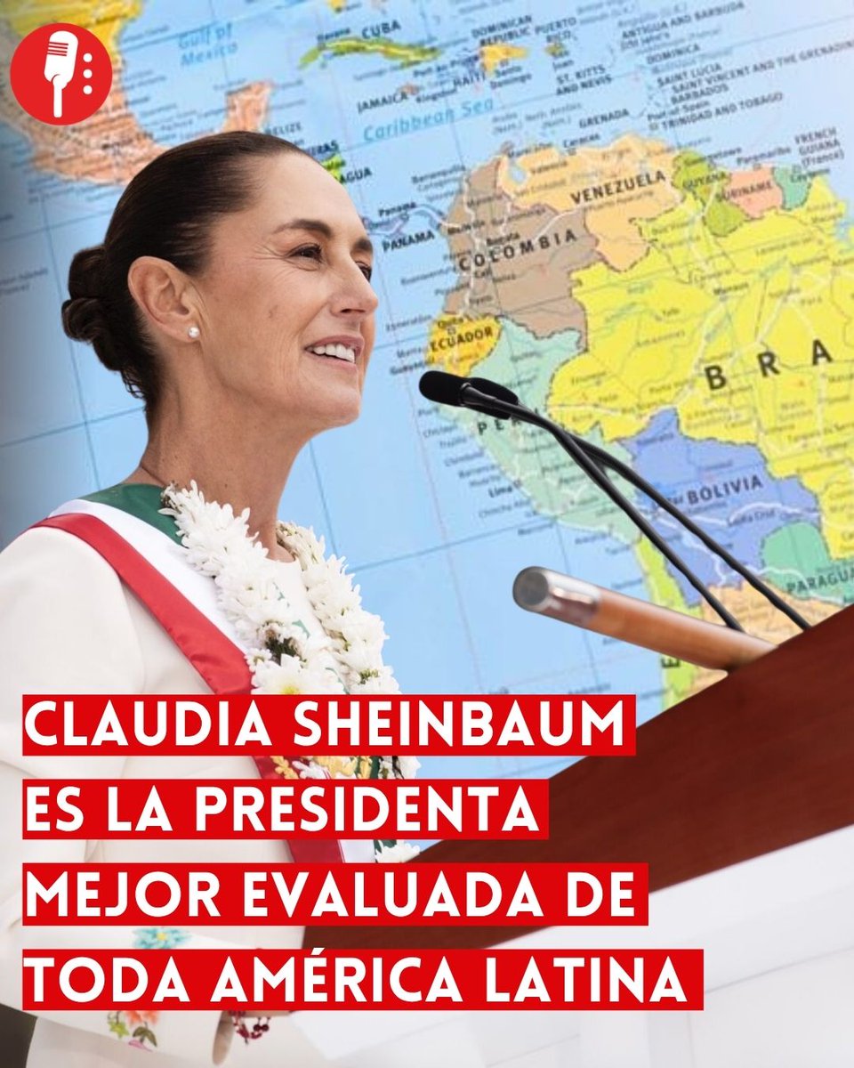 Los Reporteros MX tweet media