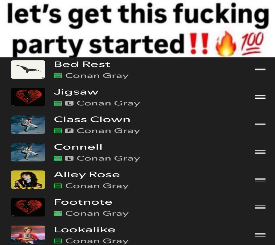 gineskå⭐️ is seeing conan!!! tweet media