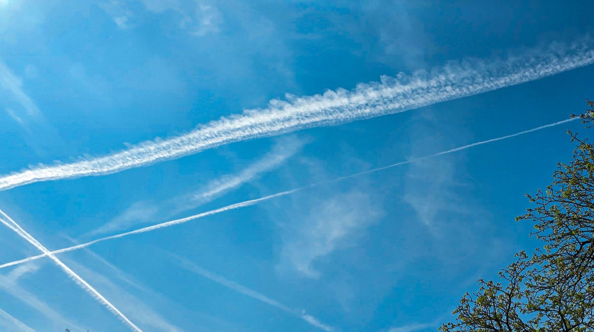 Hanna 🍉 tweet media