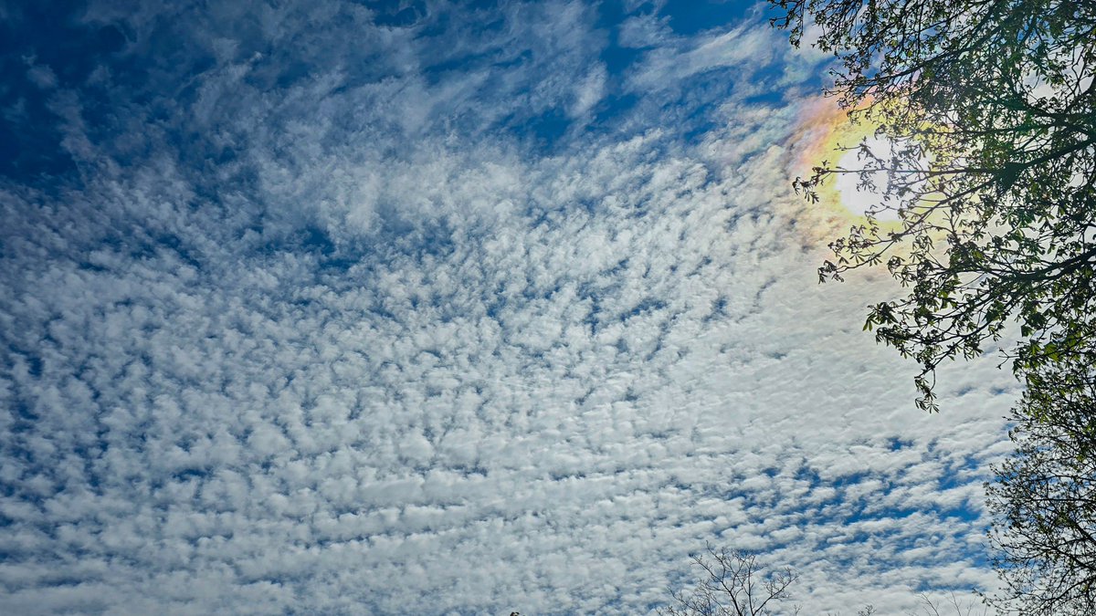 Hanna 🍉 tweet media