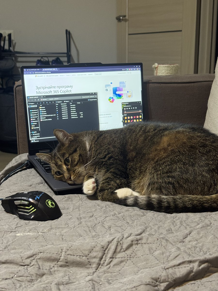 Няшна Тварюка tweet media