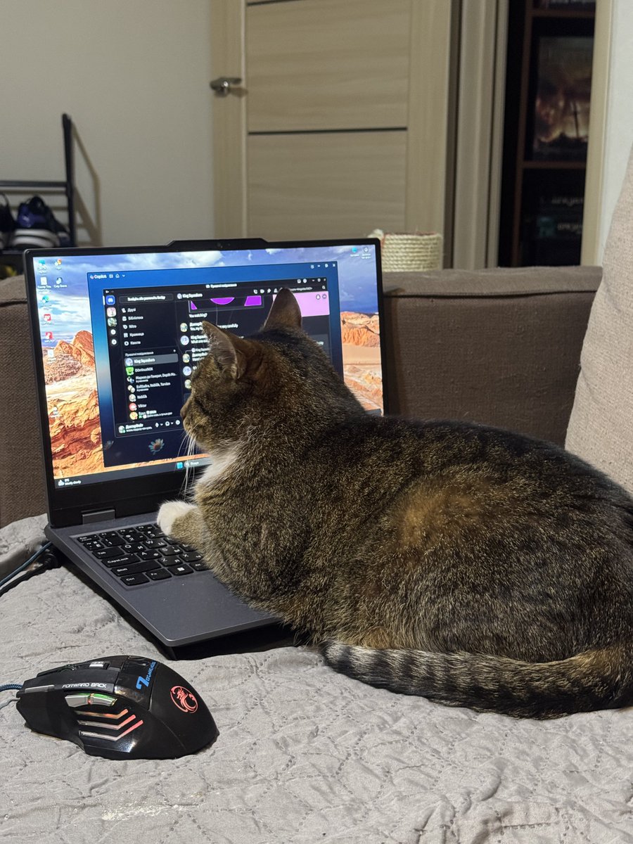 Няшна Тварюка tweet media