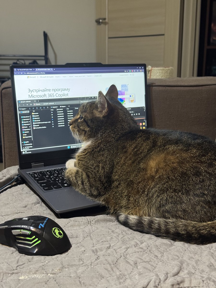 Няшна Тварюка tweet media