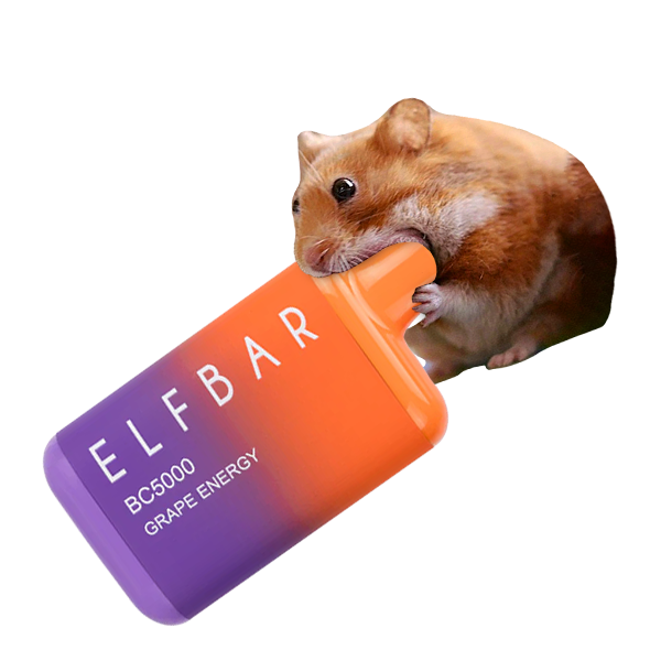 nomnom_solana's tweet photo. I remember what happened the last time a squirrel ran to millions... 👀🐹

$nomnom https://t.co/0Ieenjogkt