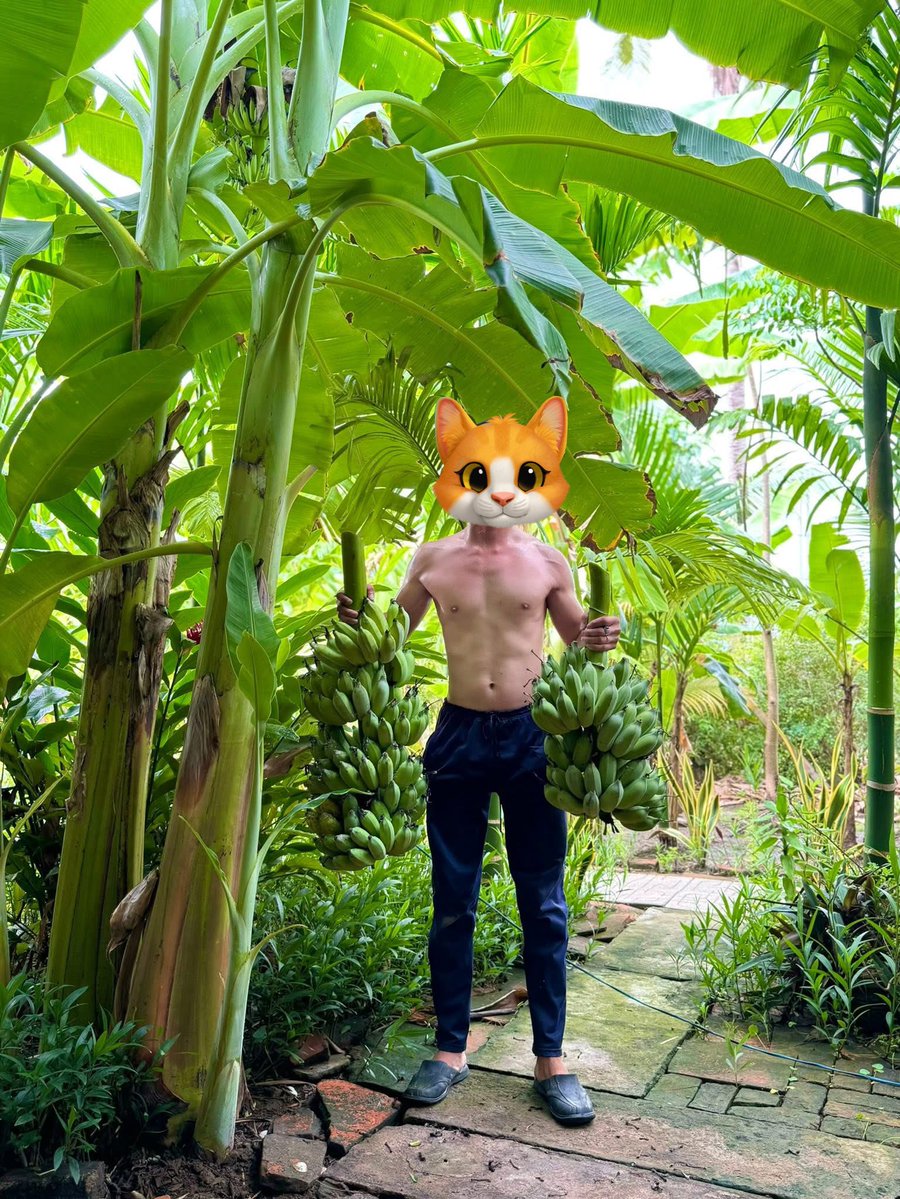 Sang Sang tweet media