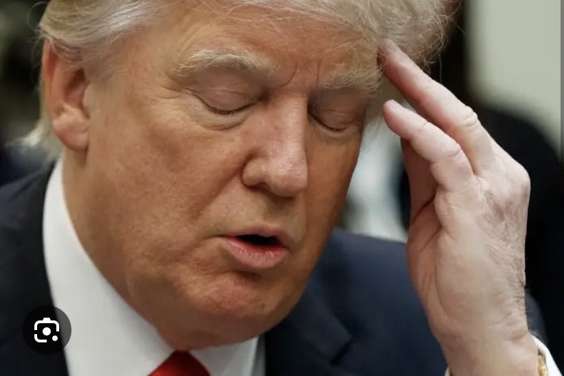 The Medical Marijuana Blog tweet media