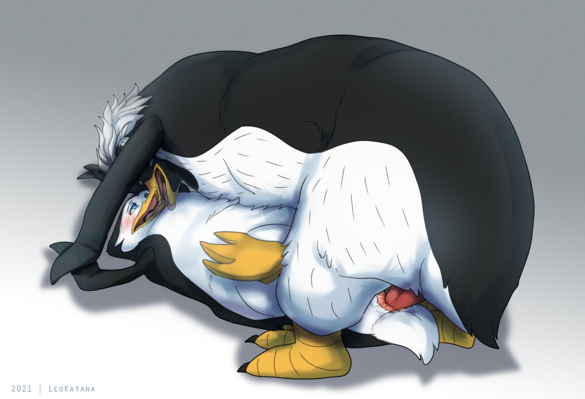 NigelSkipper1's tweet photo. #NSFW #Thepenguinsofmadagascar #Nigel #Skipper #humanized #PoM #PenguinsOfMadagascar #yaoi #BL #PoM #馬達加斯加的企鵝 #Nipper https://t.co/DdaAPyp2Za