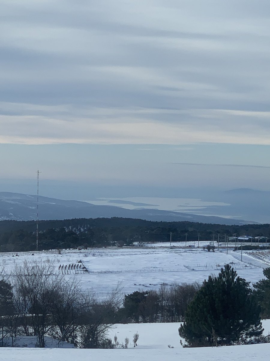 agah enes tweet media