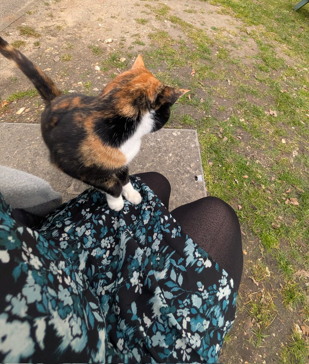 going on lunchtime walks to meet this cutieee 🥹