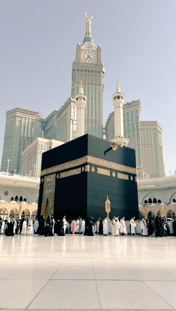 فراشة 🦋 الربيع tweet media