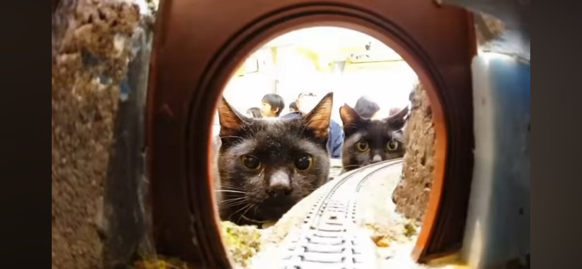 Parade O’ Crap™ tweet media