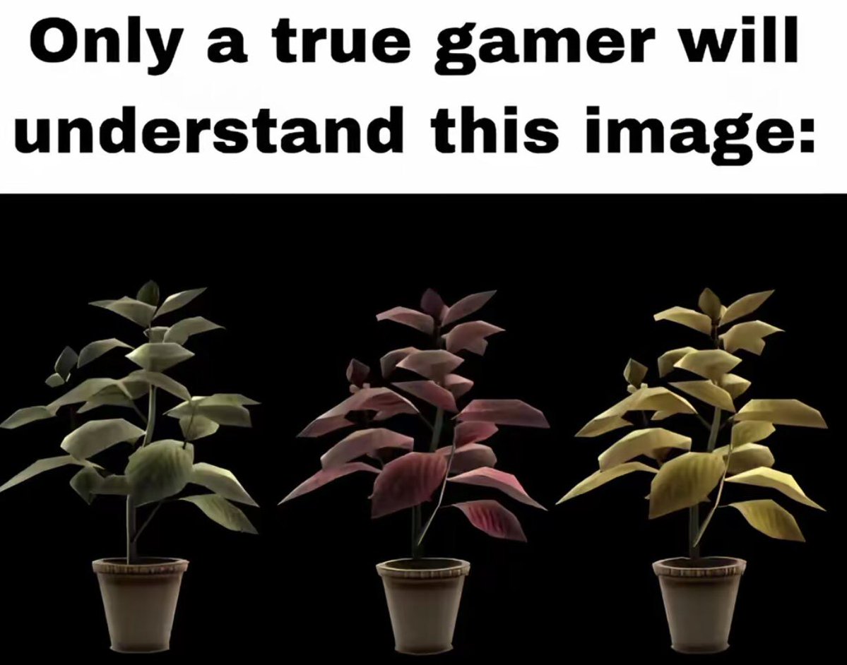 Sarah x OP tweet media