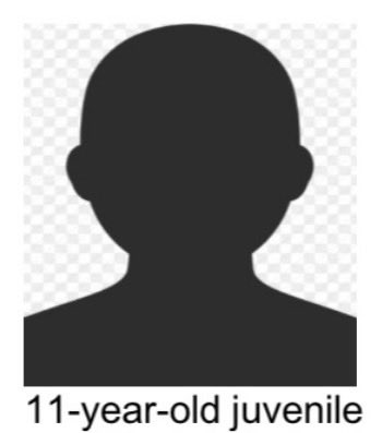 Petersburg Police tweet media