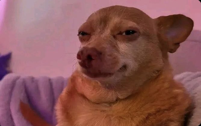 kaci💨 tweet media