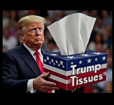 Eloisa Cid tweet media