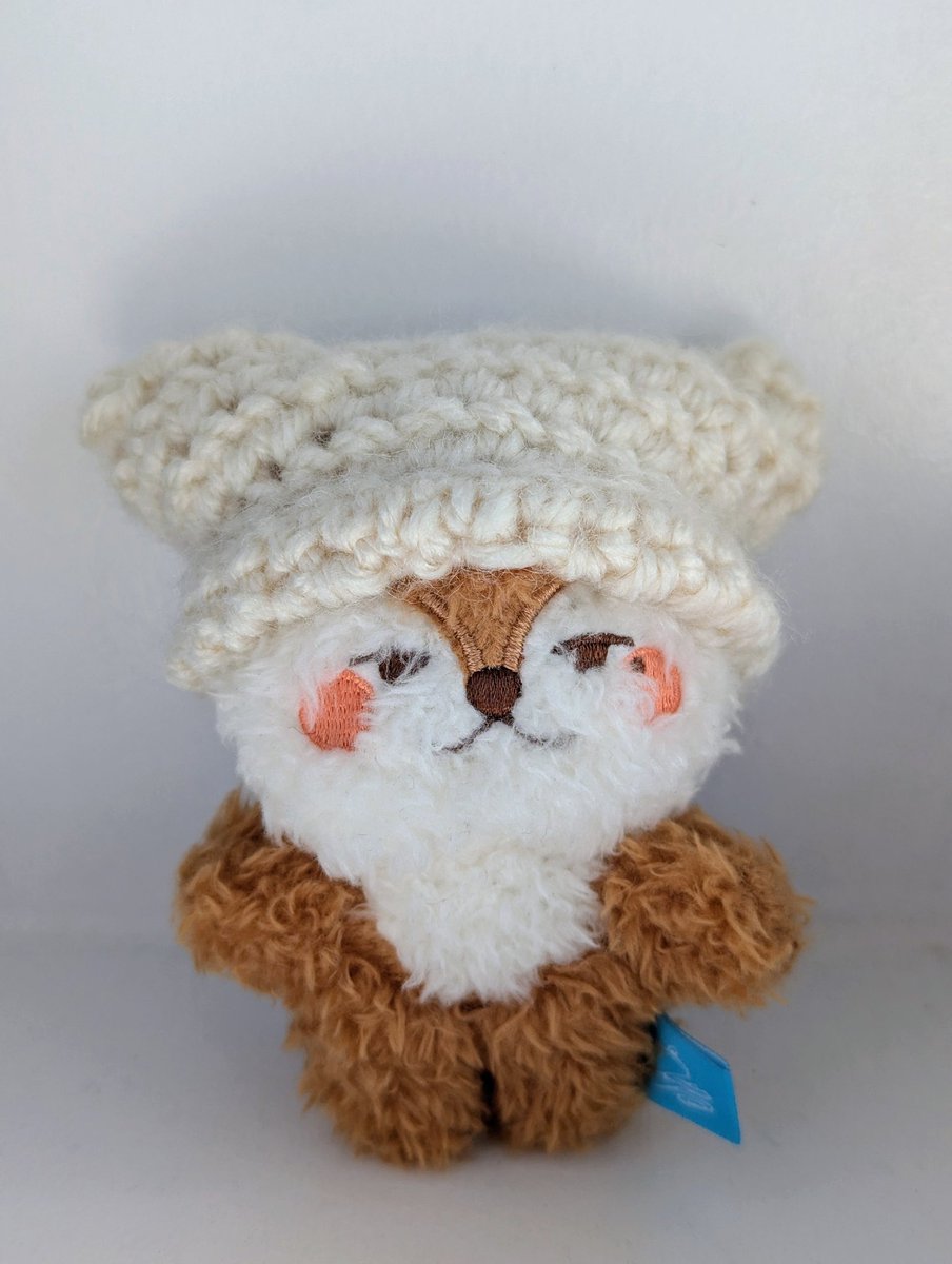 로지₍ᐢ..ᐢ₎♡ tweet media