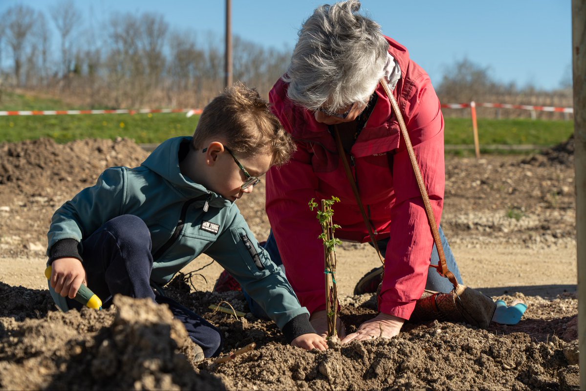 Cédric Clech tweet media