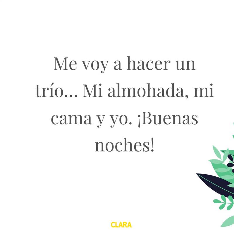 Rosa Guillamom tweet media