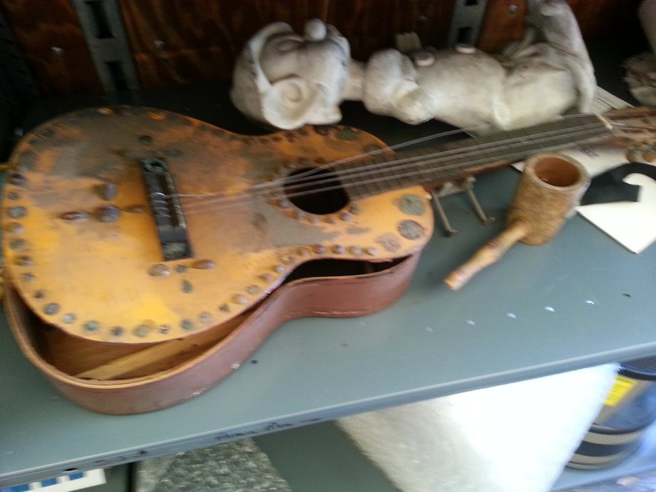 HitchHikerGator tweet media