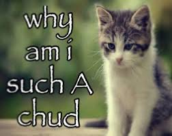 cav empty tweet media